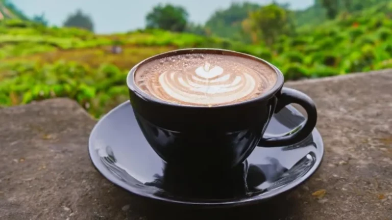 Gayo-Coffee-2